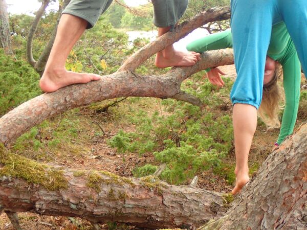 Två personers ben som dansar på ett träd