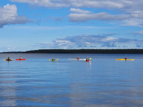 A group of people kayaking on the blue archipelago sea
