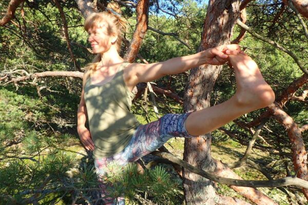 ElinMaria in a yoga pose between the branches of a tree