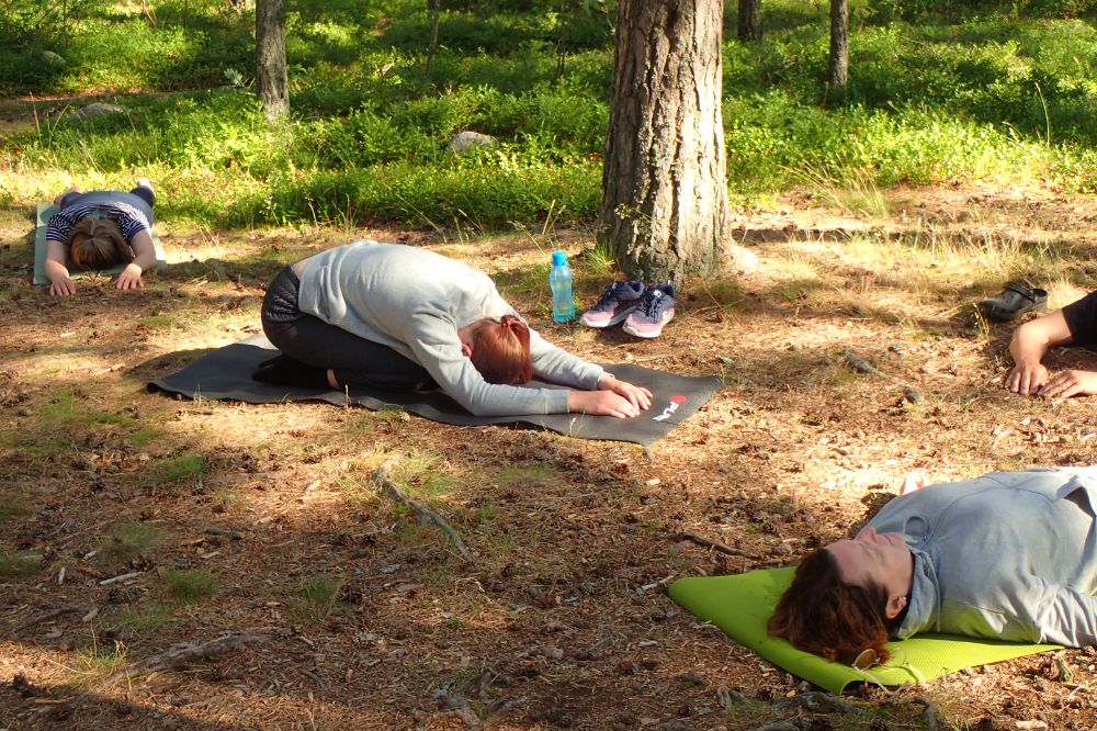 En person som sträcker ut ryggen på sin yogamatta på skogsgolvet.